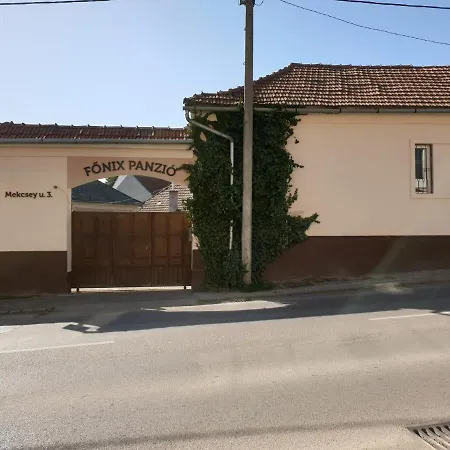 Гостевой дом Fonix Panzio